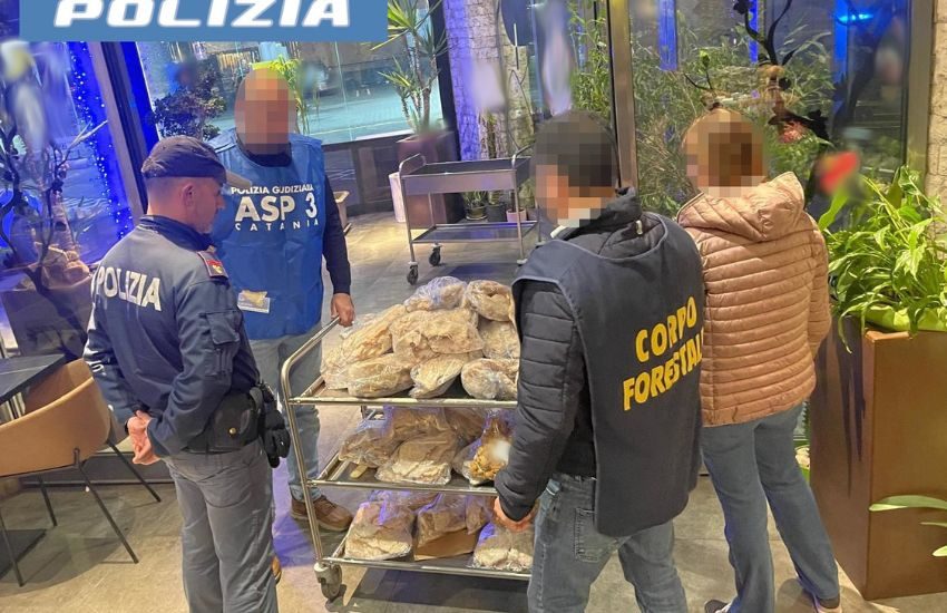 Catania, alimenti non tracciati e scaduti, scatta la sospensione per un ristorante cinese