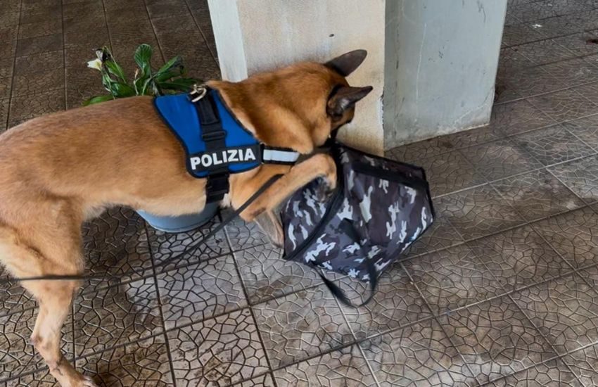 Librino, armi e stupefacenti nello zaino nascosto in garage, arrestato 26enne