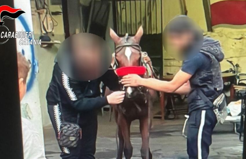 Catania, operazione ‘Villa Glori’, altre 8 persone sottoposte a misure cautelari: i nomi