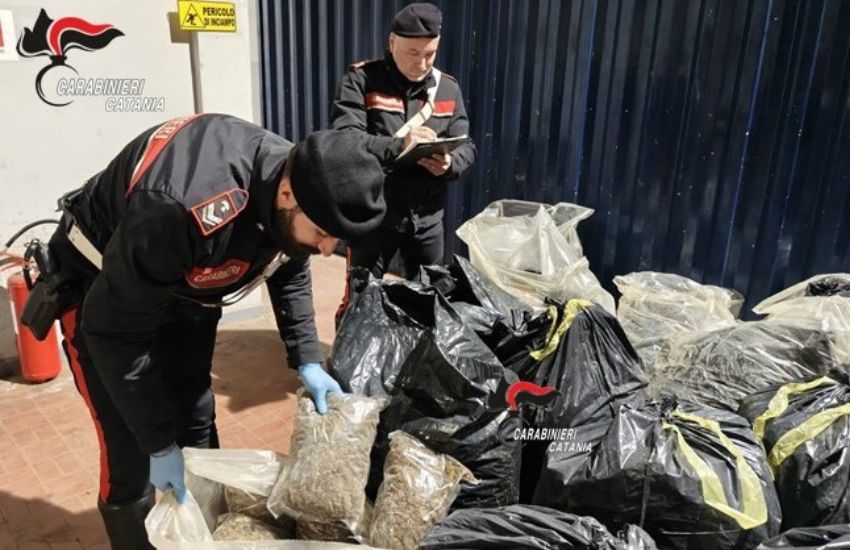 San Cristoforo: sequestrati 250 kg di marijuana