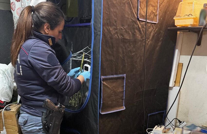Catania, aveva realizzato una serra in casa per la produzione di cannabis: arrestato 57enne