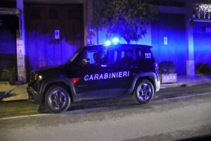 Falsa veterinaria denunciata nel Palermitano: sequestrati farmaci, documenti e due container rubati