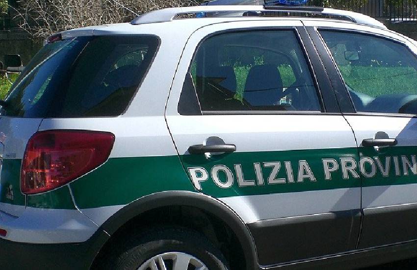 Donna aggredita dal compagno in auto: salvata dagli agenti della polizia provinciale. E’ successo ieri sera a Cassino