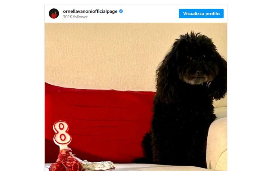 Ondina, il barboncino di Ornella Vanoni, andrà a vivere con il nipote Matteo