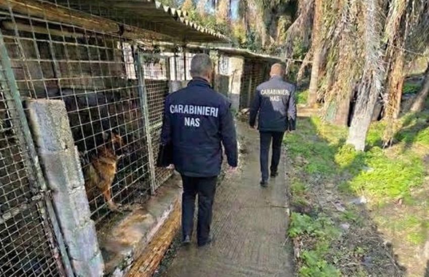 Mascali, canile sotto sequestro: cani detenuti in condizioni incompatibili con il benessere animale