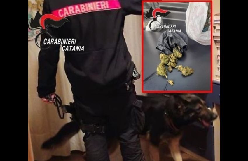 biancavilla droga nascosta nel tubo di scarico 19enne denunciato dai carabinieri da Dayitalianews.com biancavilla droga nascosta nel tubo di scarico 19enne denunciato dai carabinieri