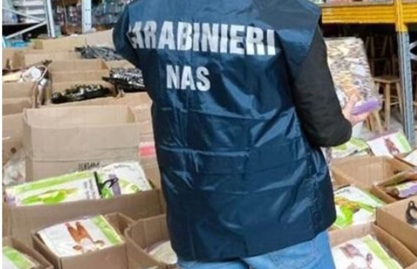 Carnevale, sequestrati oltre mille costumi irregolari a Catania