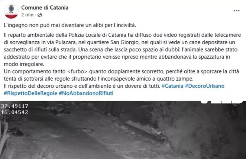 Catania, cane usato per abbandonare rifiuti: scoperta choc dalle telecamere