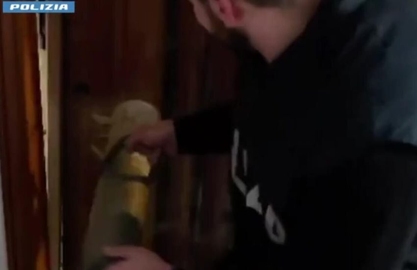 Arrestato latitante del clan Mazzei: si nascondeva nel Catanese