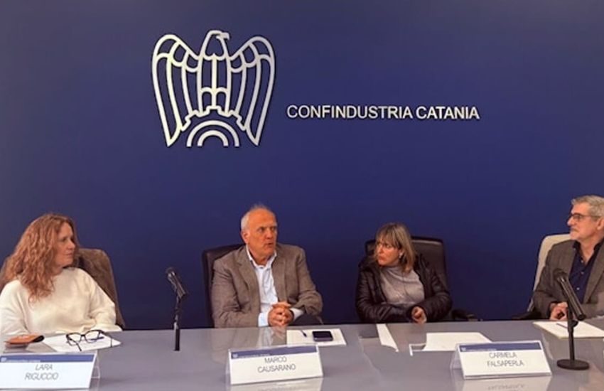 Randagismo nella zona industriale di Catania: confronto tra istituzioni e imprese per trovare soluzioni