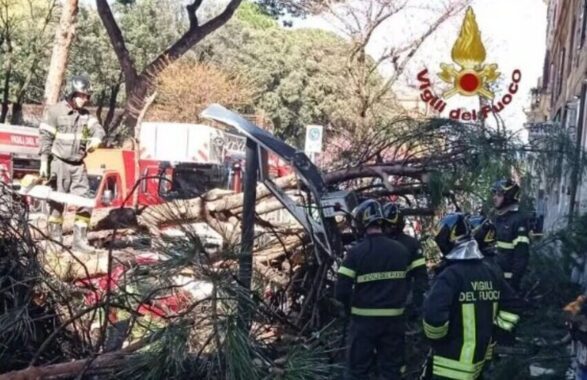 Paura a Roma: grosso albero cade su via Tiburtina a San Lorenzo, 2 feriti