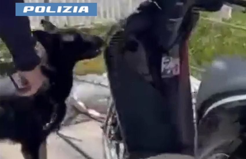 “Briska” fiuta la droga nascosta nello scooter: arrestato un 28enne a Catania