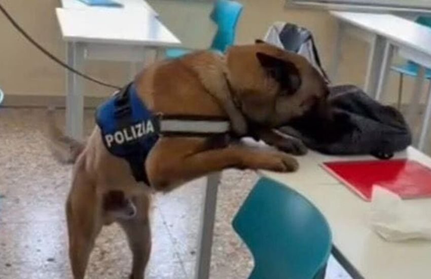 Controlli antidroga nelle scuole di Catania: il progetto della Polizia prosegue anche nel 2025/2026