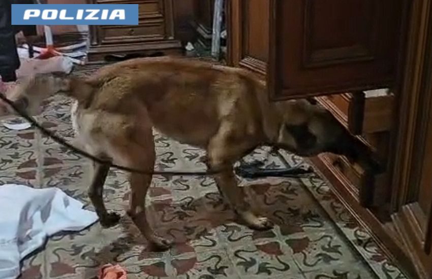 droga pronta per lo spaccio in casa arrestato un 36enne a catania da Dayitalianews.com droga pronta per lo spaccio in casa arrestato un 36enne a catania