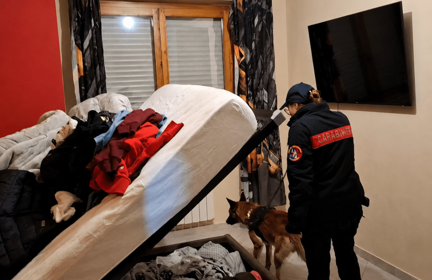 Traffico internazionale di droga, blitz della DDA: 19 misure cautelari anche in provincia di Latina