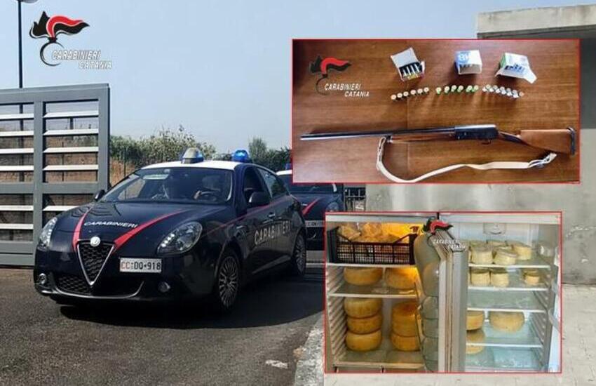 catania controlli in una masseria di monte po8217 sequestrati fucile munizioni e 70 chili di formaggi prodotti illegalmente da Dayitalianews.com catania controlli in una masseria di monte po8217 sequestrati fucile munizioni e 70 chili di formaggi prodotti illegalmente