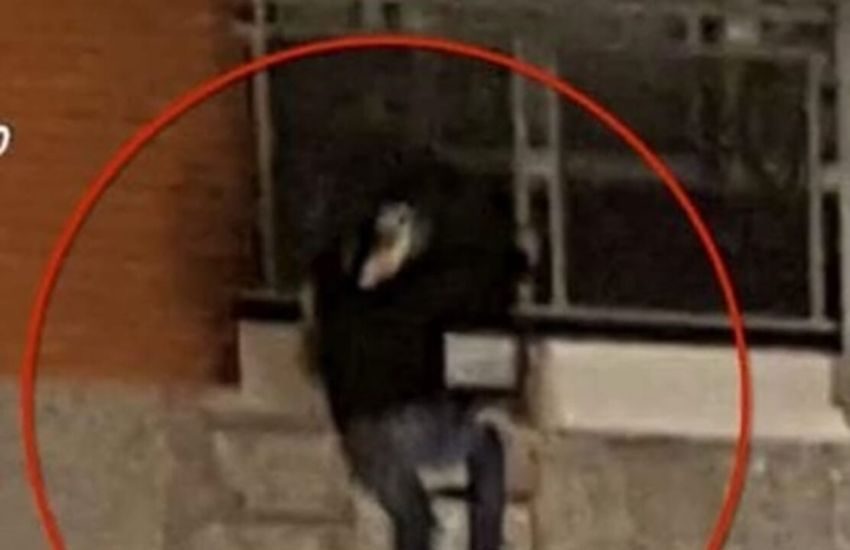 ramacca presunto ladro accoltellato durante una colluttazione con il proprietario di casa da Dayitalianews.com ramacca presunto ladro accoltellato durante una colluttazione con il proprietario di casa