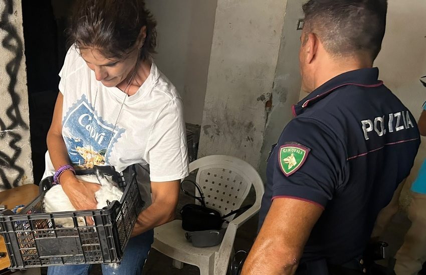 Operazione antidroga a San Cristoforo: tre pusher fermati, smantellata una piazza di spaccio