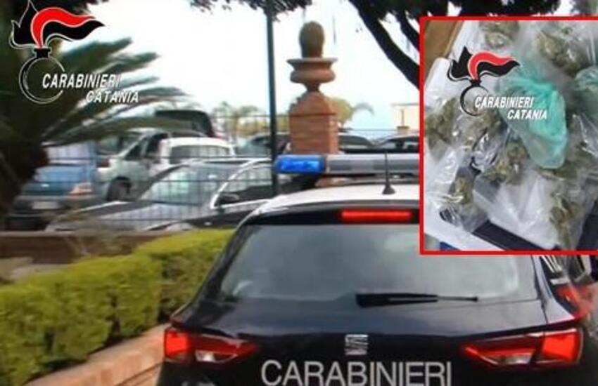 controlli ad acireale arrestato un 22enne per droga e chiusa una barberia da Dayitalianews.com controlli ad acireale arrestato un 22enne per droga e chiusa una barberia