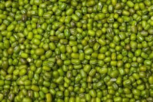 I fagioli verdi sono i semi più longevi: possono germinare dopo decenni di congelamento