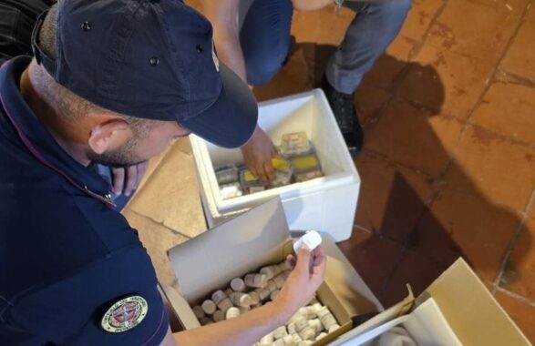 Caltagirone, maxi sequestro di farmaci e sostanze dopanti: arrestato un uomo